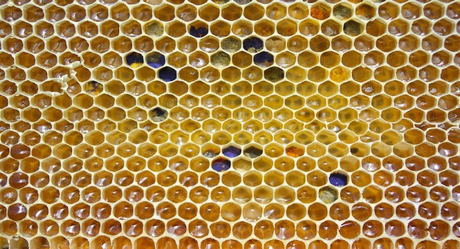 Beeswax for Skin: Uses, Evidence & Allergy Considerations