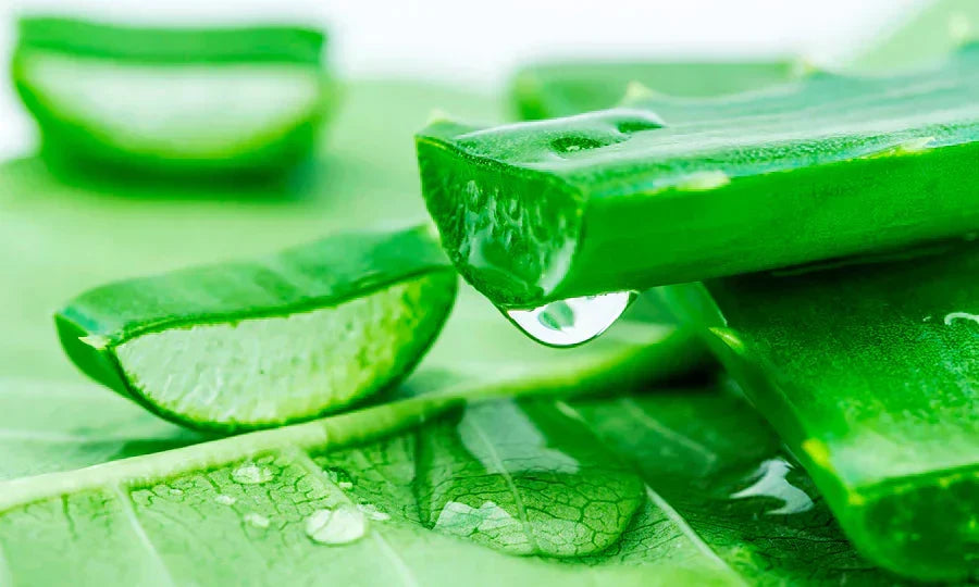 Humectant skincare ingredients supporting water in the outer skin layer