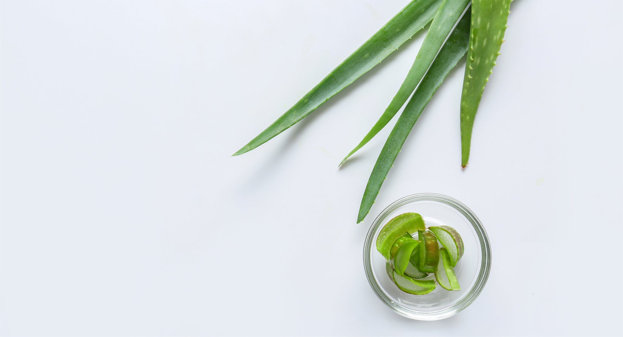 Treat facial eczema naturally with ingredients like aloe vera, colloidal oats, and coconut oil.